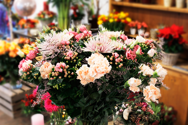 Blumenhaus Büchi, Startseite